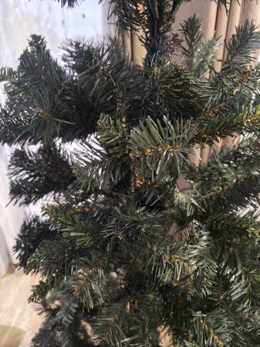 Коледна     елха