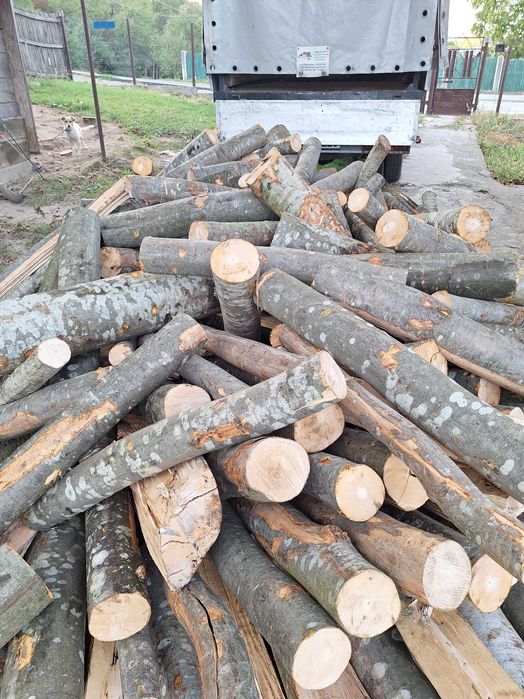 Vând Lemne aduc la domiciliul  orce dimensiune și orce esență.