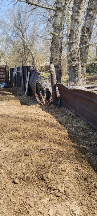 Продам Ягтериера