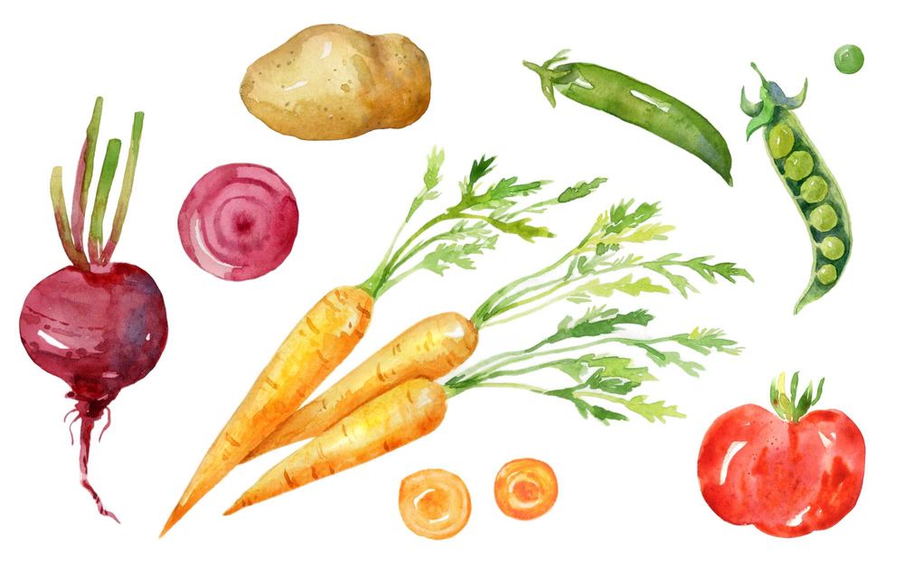 Художник - иллюстратор