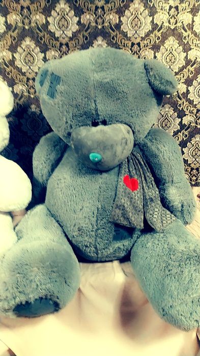 Teddiy ayiqchalari holati yengi