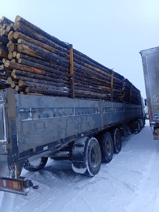 Кругляк,Доска есть в наличии