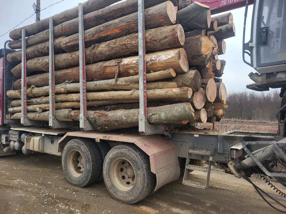 Lemn de foc fag si stejar, lemnul este și uscat