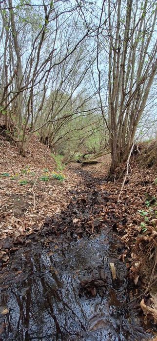 Vand teren extravilan loc. Sinca Noua- jud. Brasov