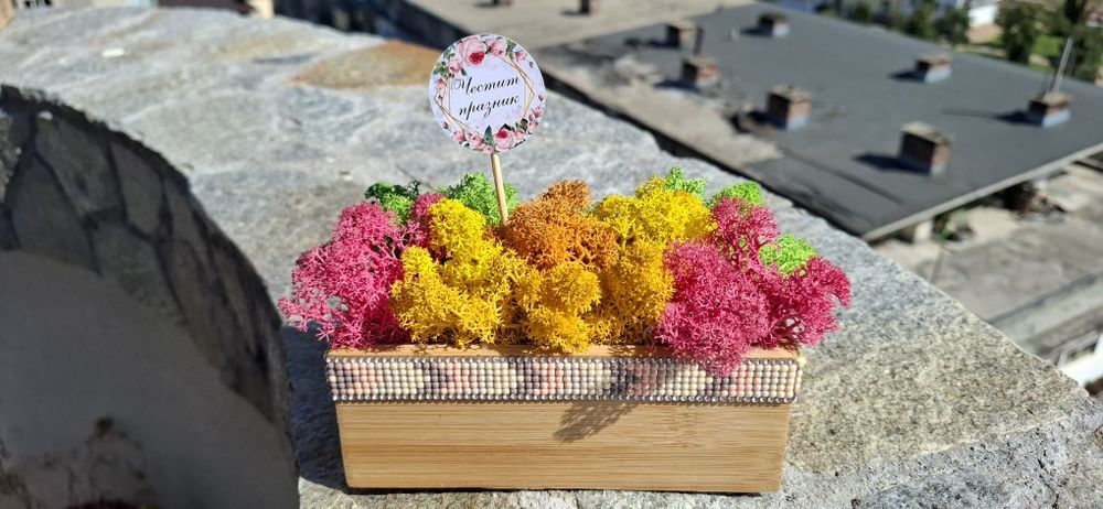 Кашпа със скандинавски мъх