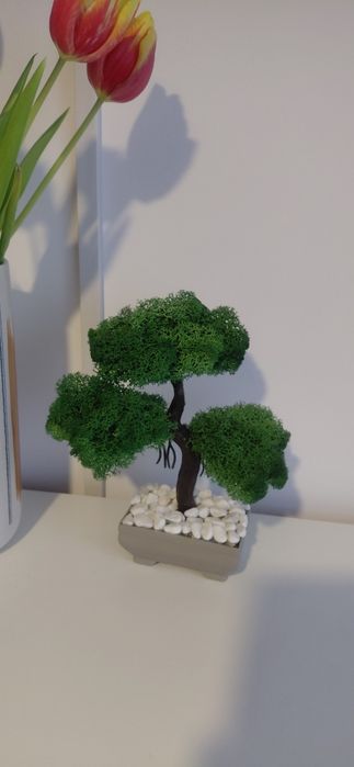 Bonsai din licheni