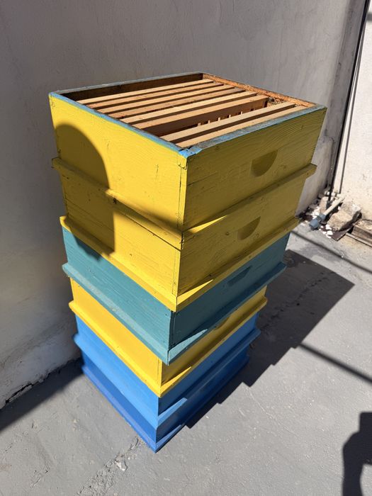 Магазини 10рамкови