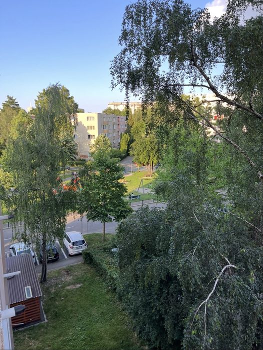 Garsoniera de inchiriat- Str. Soarelui