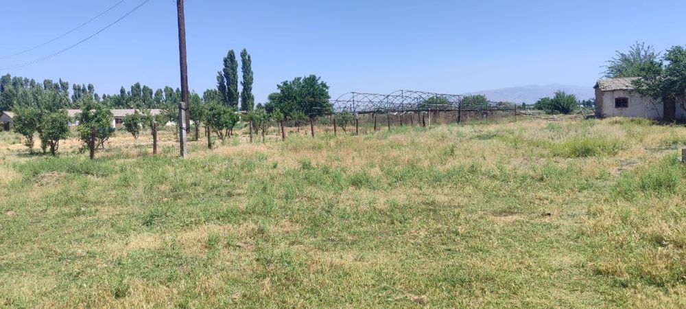 Тошкент вилояти Бекобод тумани ДВЗ 1 совхоз чорва фермаси