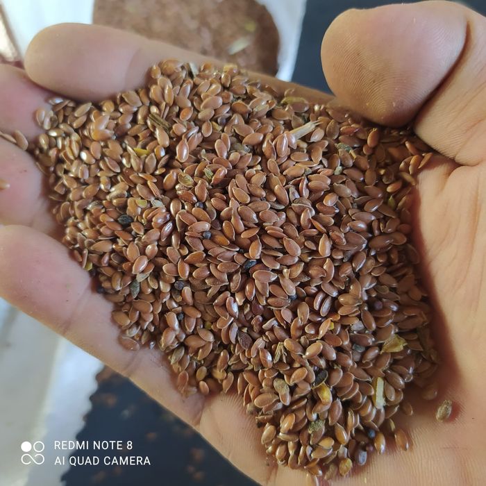 Реализуем зерновые культуры