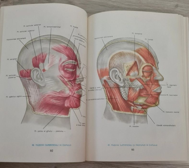 Mic atlas de anatomia omului (Dem. Theodorescu)