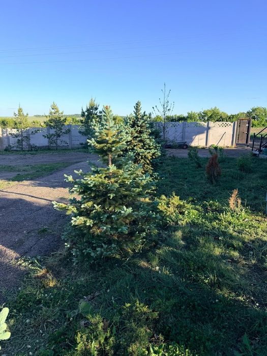 Продам большой  дом