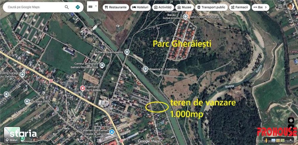 Gheraiesti - str. Arinilor - 1.000mp