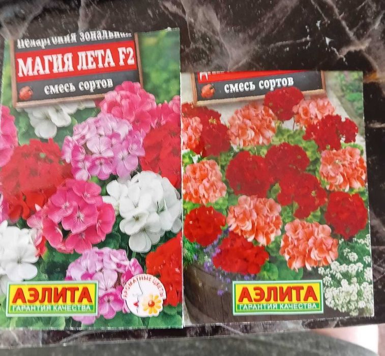 Продаются детки Герани