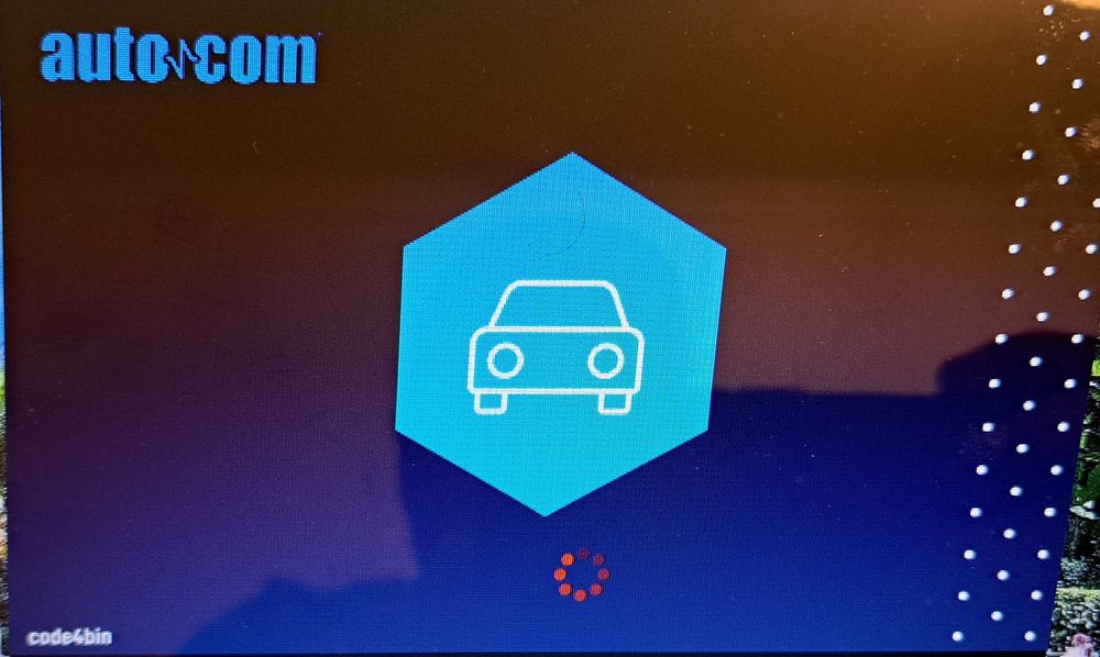 Diagnoza auto Delphi 2021