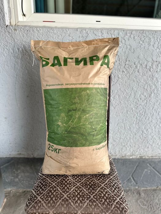 Продаю семена люцерны,Сорт(Багира и Семиречье)