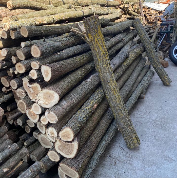 Pari salcåm, 2,5 m lungime