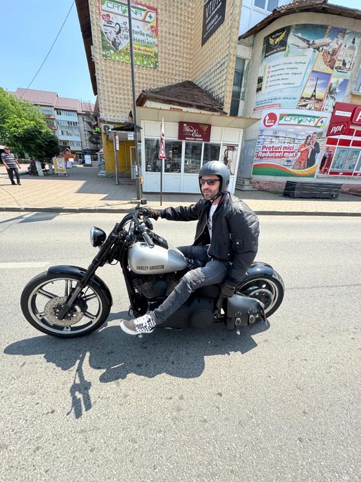 harley davidson  custom 2007