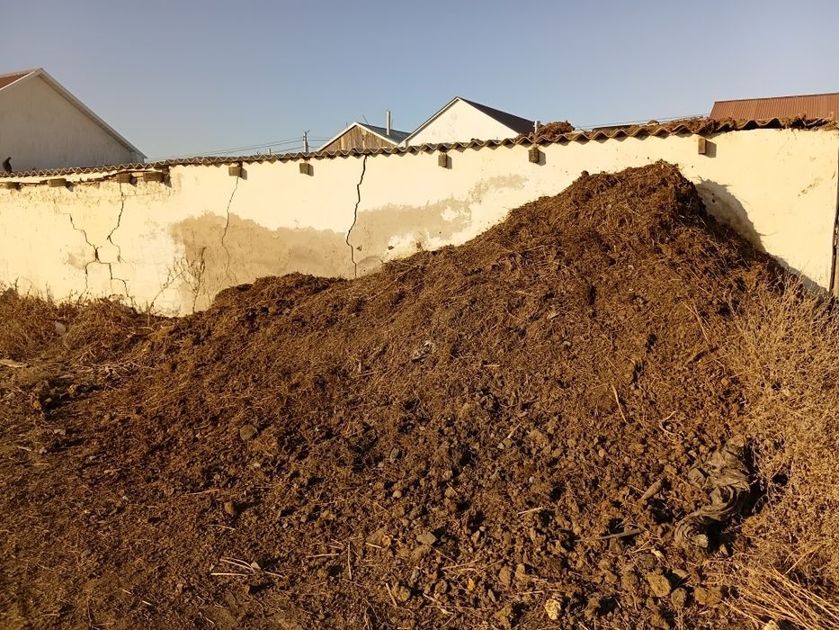 Навоз бесплатно самовывоз