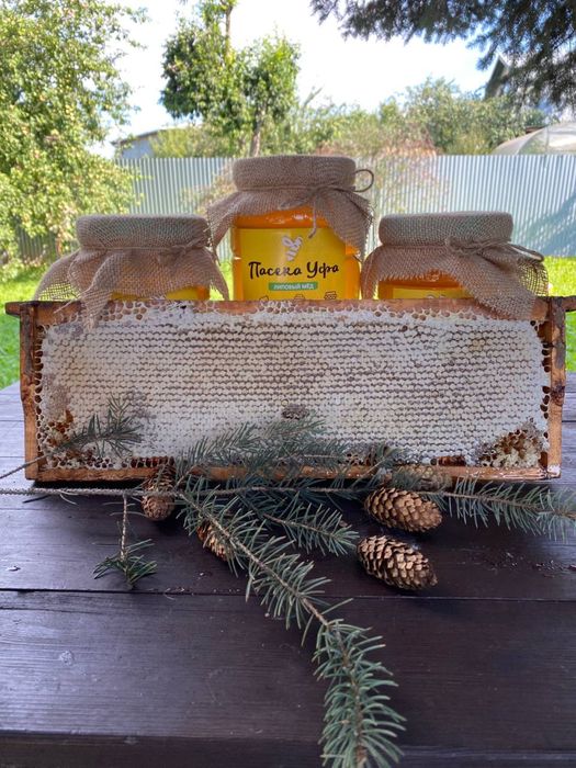 Тоза асал сотилади РФ Башкортостан УФА шахрида етиштирилган