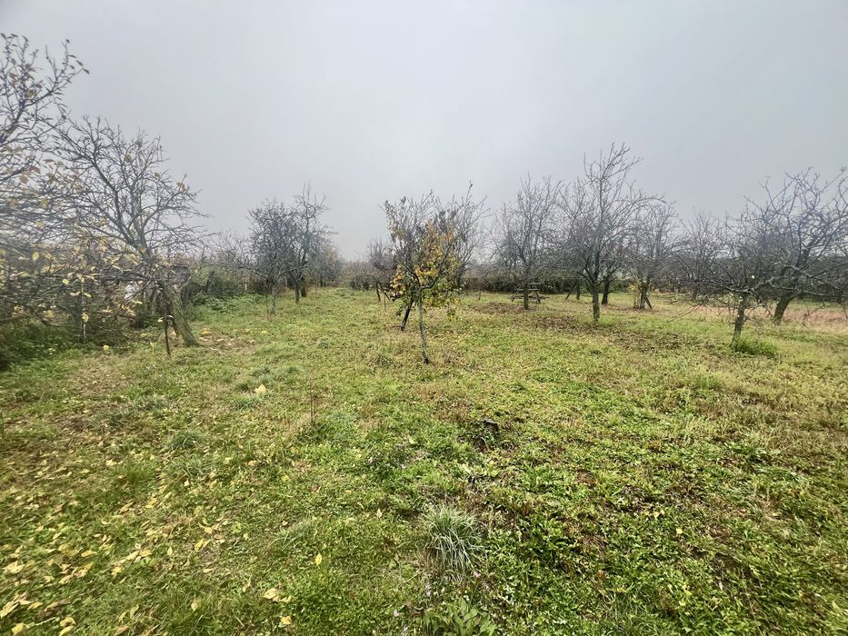 Se Vinde Casa Bunicilor, Jud. Arges, Comuna Cotmeana, Sat Pielesti