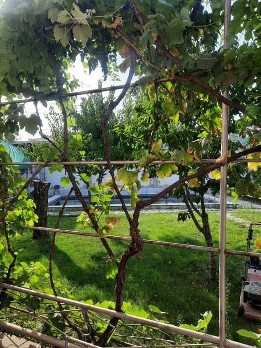 ДомУгловой 7 сот270тыс.уе Азербайджан центре 250м2 и подвал