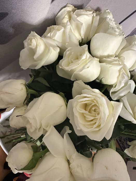 Цветы гул бар арзан багада