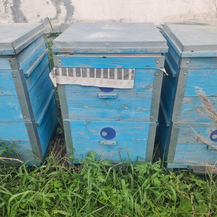 Продам улики, медогонку