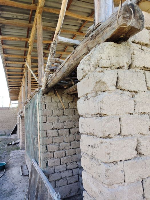 ……………………………………..