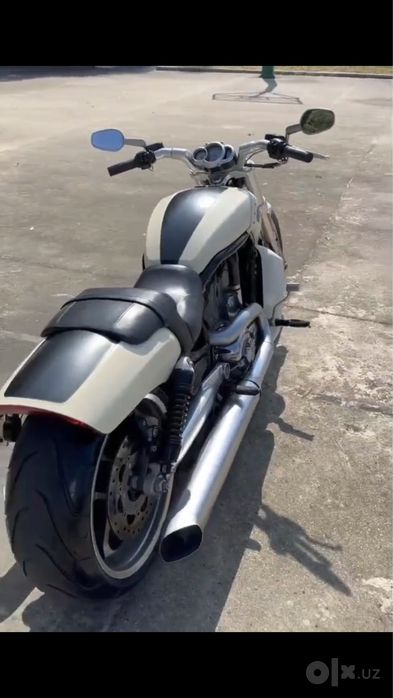 Продается harley davidson v-rod