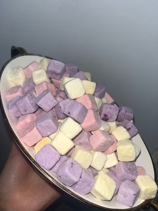 ОПТОМ Сублимированные фрукты и мороженое