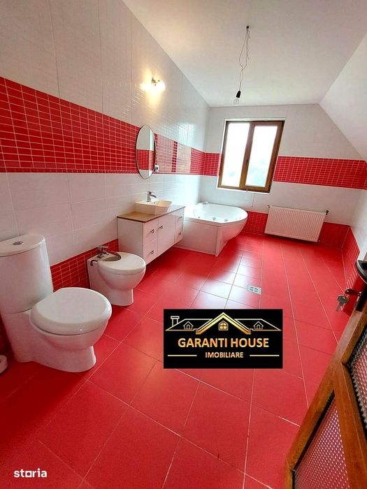 Valea Borcutului, casa de inchiriat, 450 mp, mobilata, 1500€/Luna