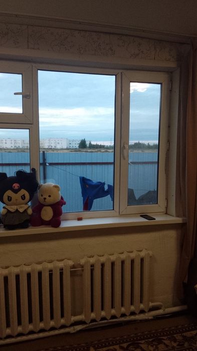 Продается дом в Новом Аралтале