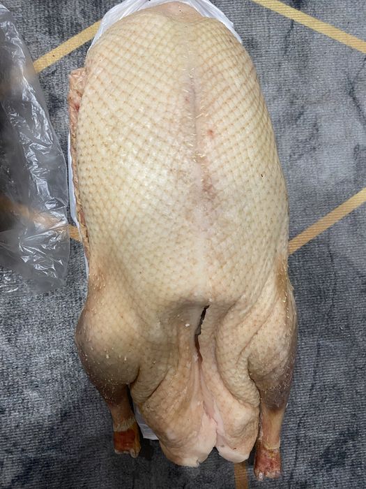 Продам гусей и уток