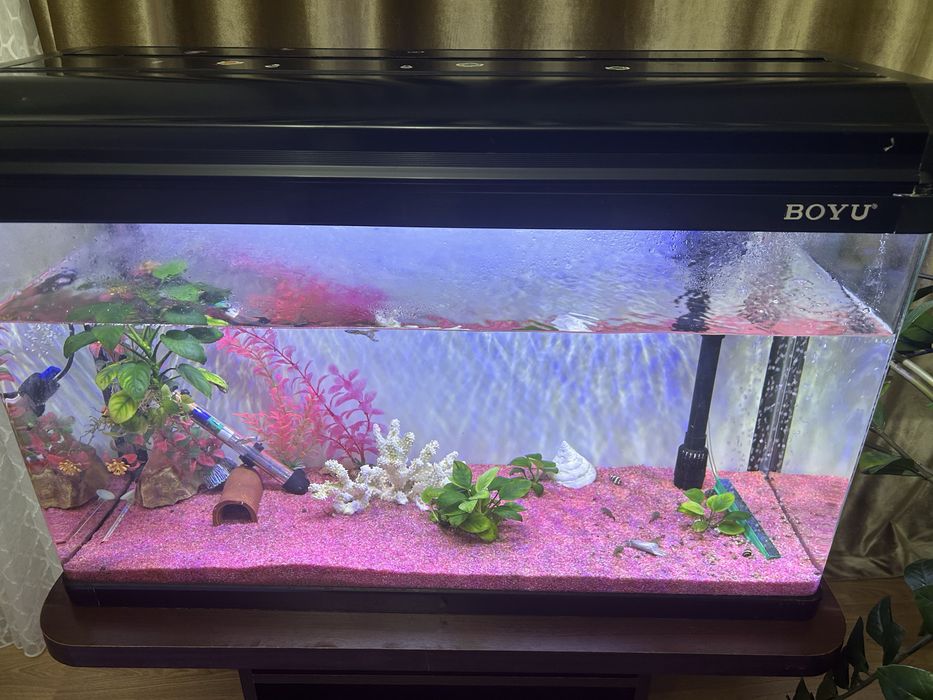 Продам аквариум Boyu
