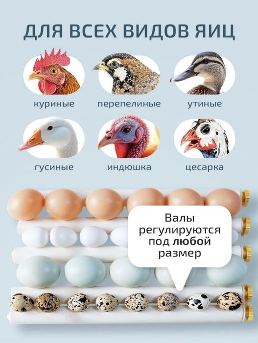 Inkubator sotiladi 16talik holati yangi