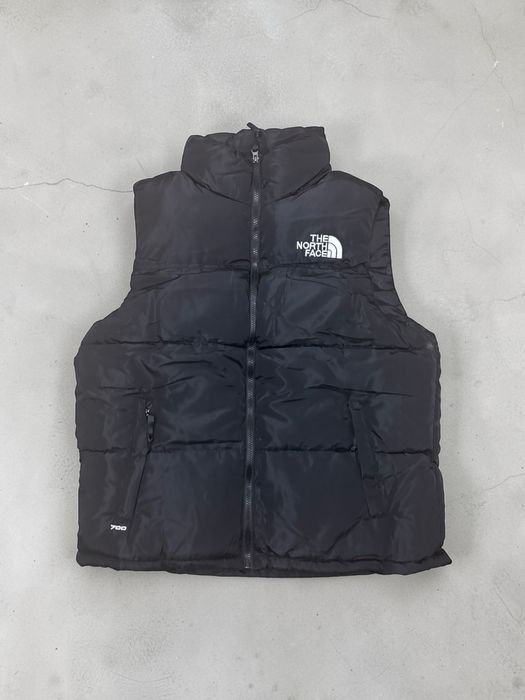 Vesta the north face