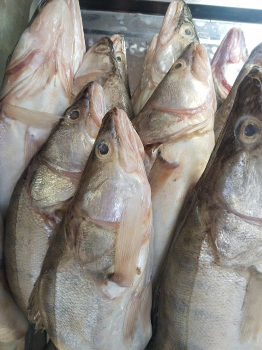 Продам свежую рыбу оптом и в розницу