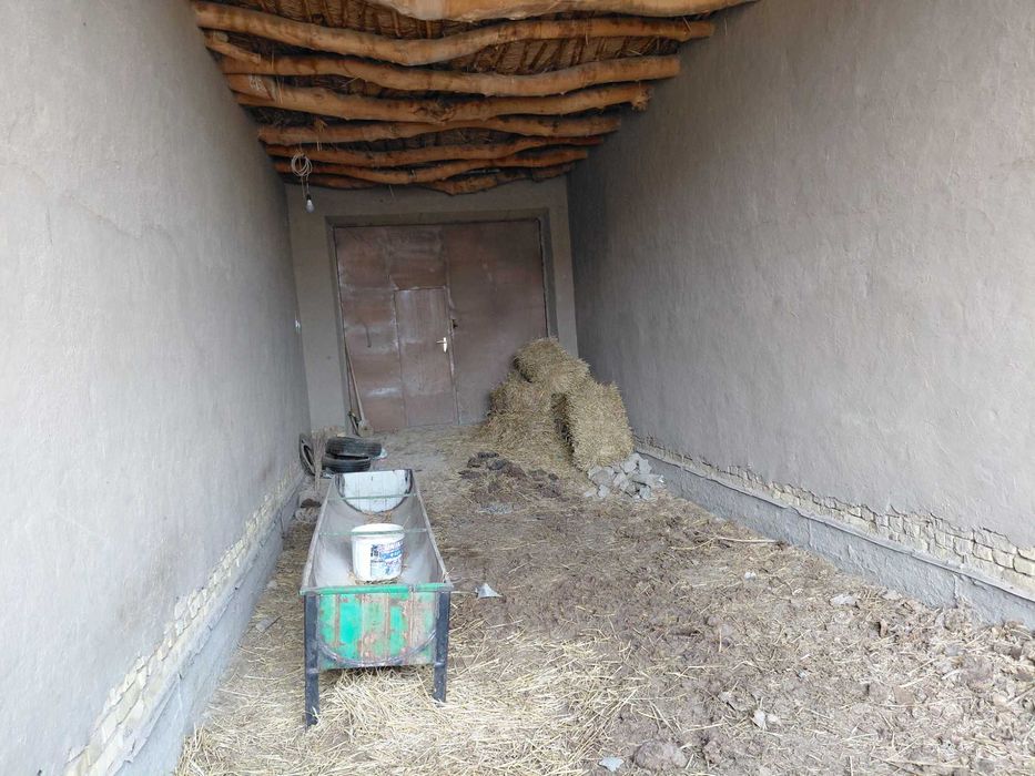 Беруни тумани тоза аэропортда уч грп бетон кучадан биринчи куча