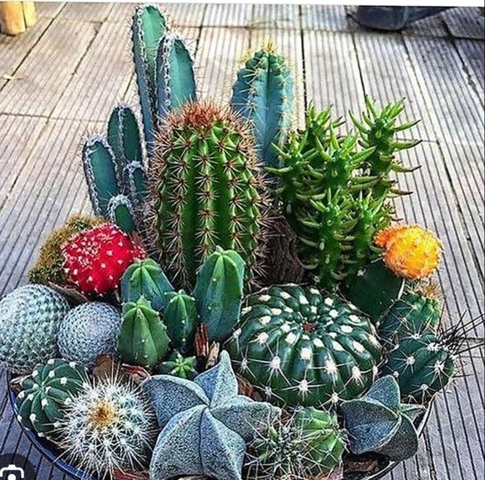 Екзотичен микс от цветя