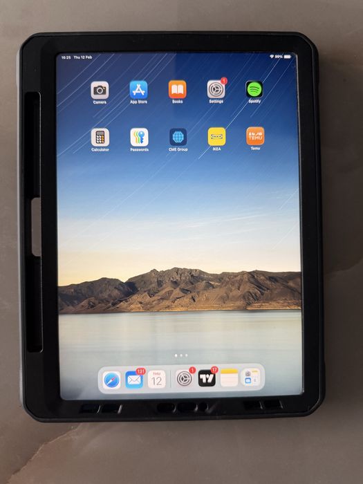 Vand Ipad pro 11 (2nd generation) 256Gb