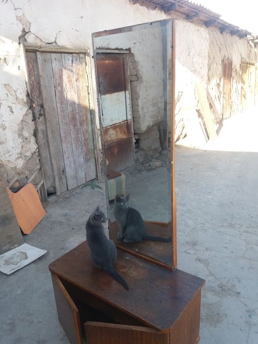 Трюмо. Зеркальная.