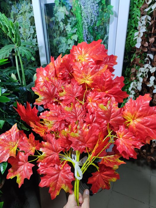 Листья осень. Качество.