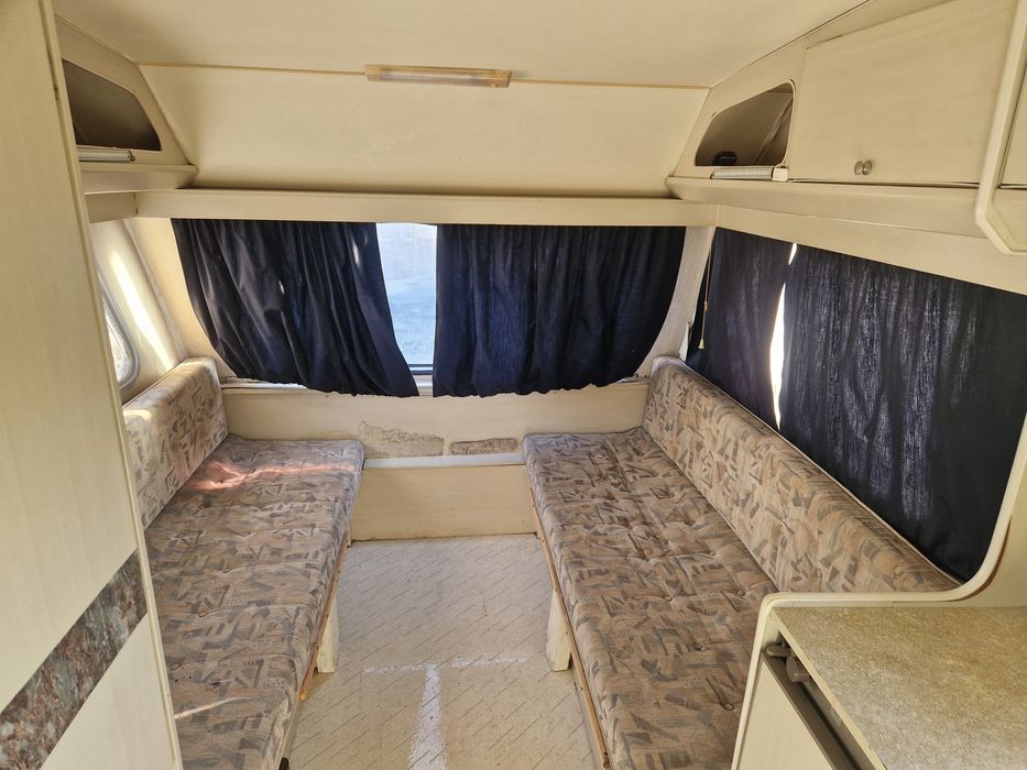 Rulota Beyerland inmatriculata Ro