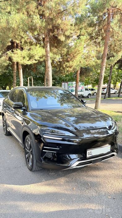 Byd Champion Smart 605