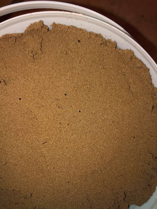 Oua de Artemia hrana puiet