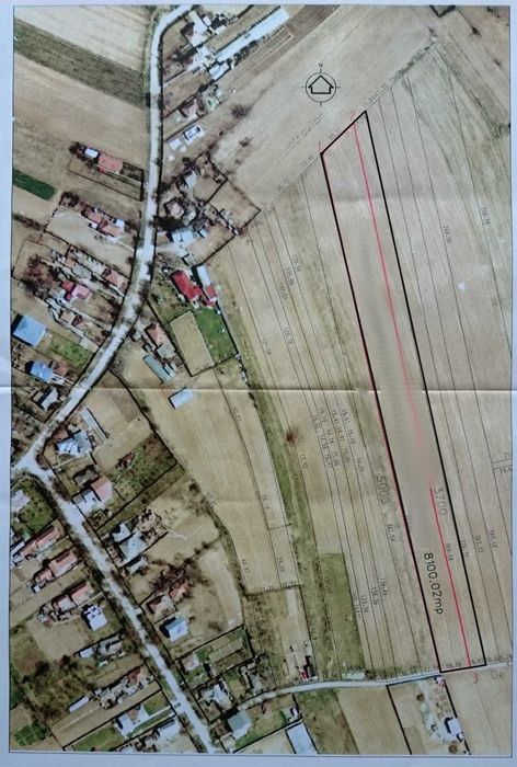 Teren intravilan 8000mp Gruiu, Silistea Snagovului