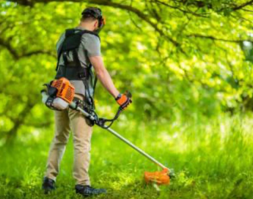 Ingrijire propietati, defrisat si tunz gazon