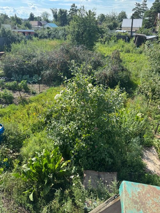 Продам дачу на наримановском рынке