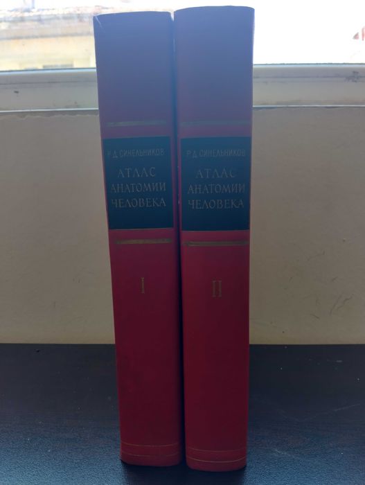 Атлас анатомии человека 1 и 2 том Синелников